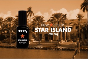 MI-NY_star-island