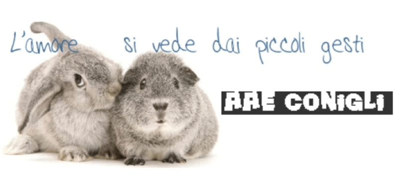 Schermata 2018-07-19 alle 10.41.07